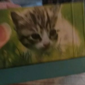 Meet your Posher, Phyllis