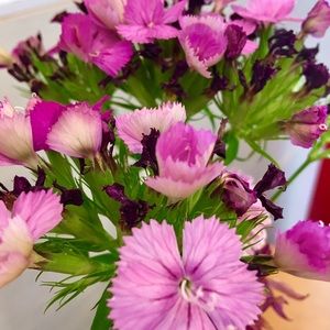 Meet your Posher, Katherine