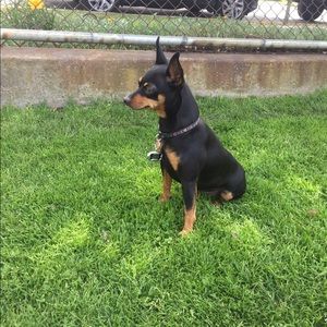 Meet your Posher, Mich