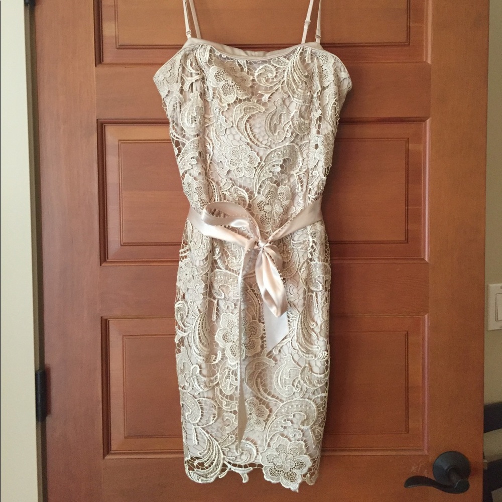 Adrianna papell evening dress