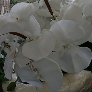 Meet your Posher, Edwin