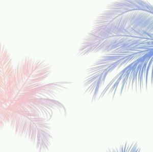 Meet your Posher, Destiny