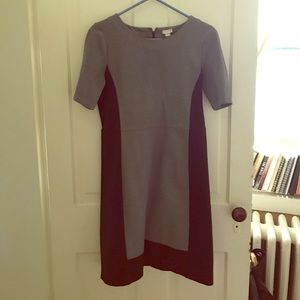 J Crew shift dress