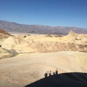 Meet your Posher, Sylvia