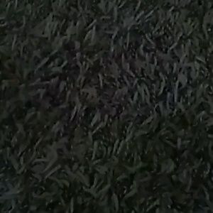 Meet your Posher, Skyler