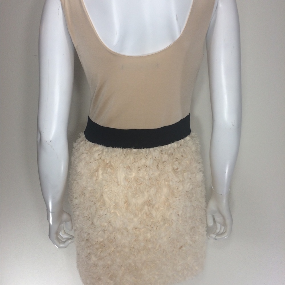 Zara Basic Nude / Black Sleeveless Dress View 4