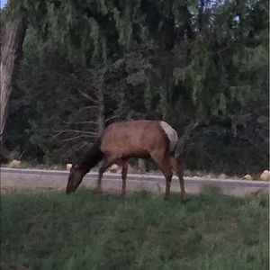 Meet your Posher, Julia