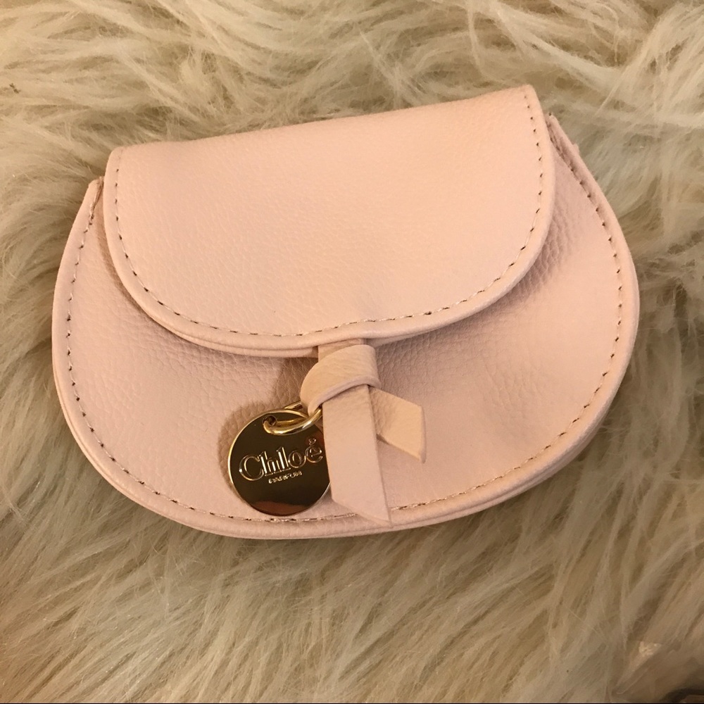 Mini Chloe Leather pouch