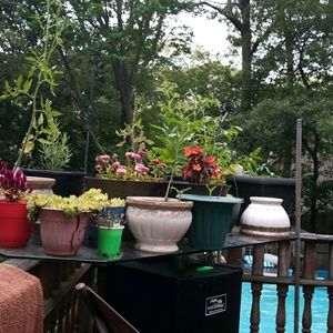 Meet your Posher, Barry