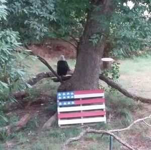 Meet your Posher, Johnny