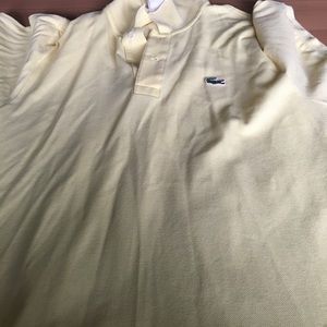 Lacoste Polo.