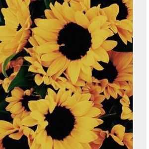 Meet your Posher, Elena