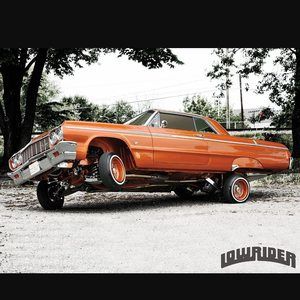 Meet your Posher, Rayven