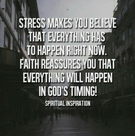 Meet your Posher, Melinda - Picture 5 of 8