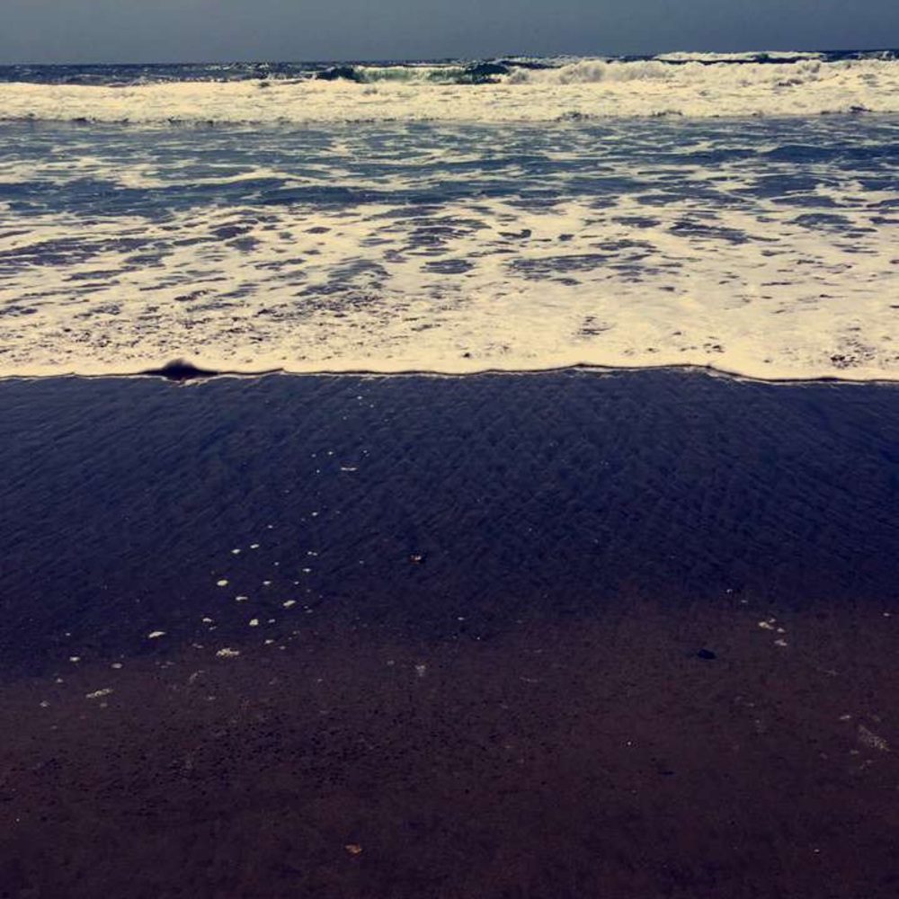 Meet your Posher, Destiny