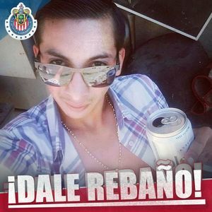 Meet your Posher, Hector