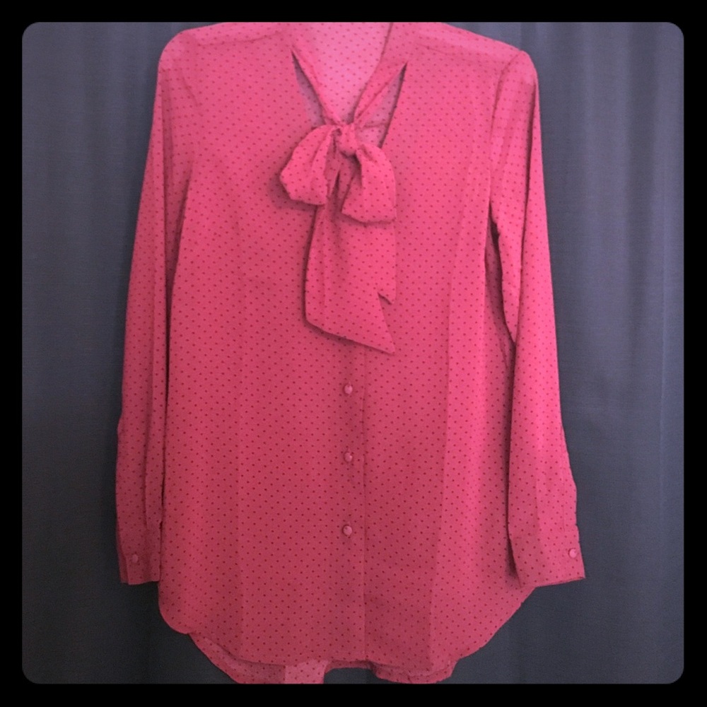 Burgundy w/polka dots sheer long sleeve top