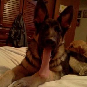 Meet your Posher, Beth