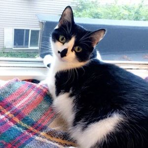 Meet your Posher, Kelley