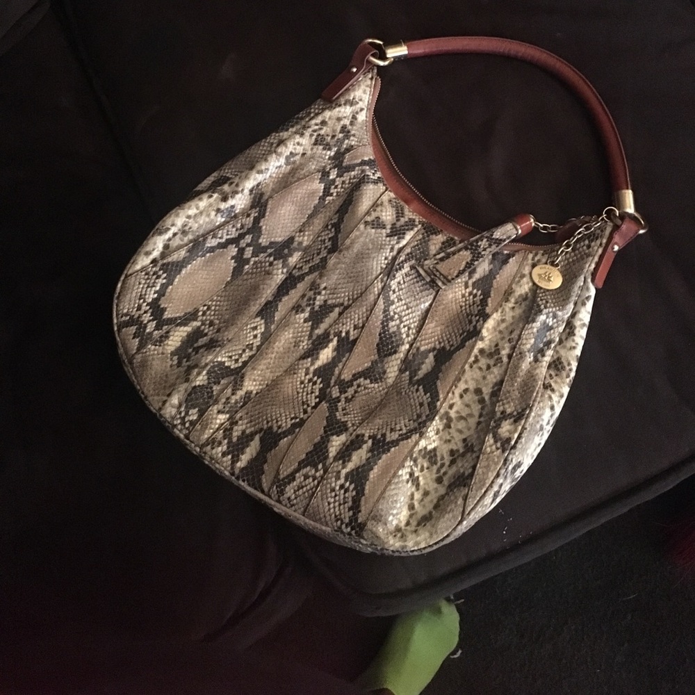 Snake skin purse