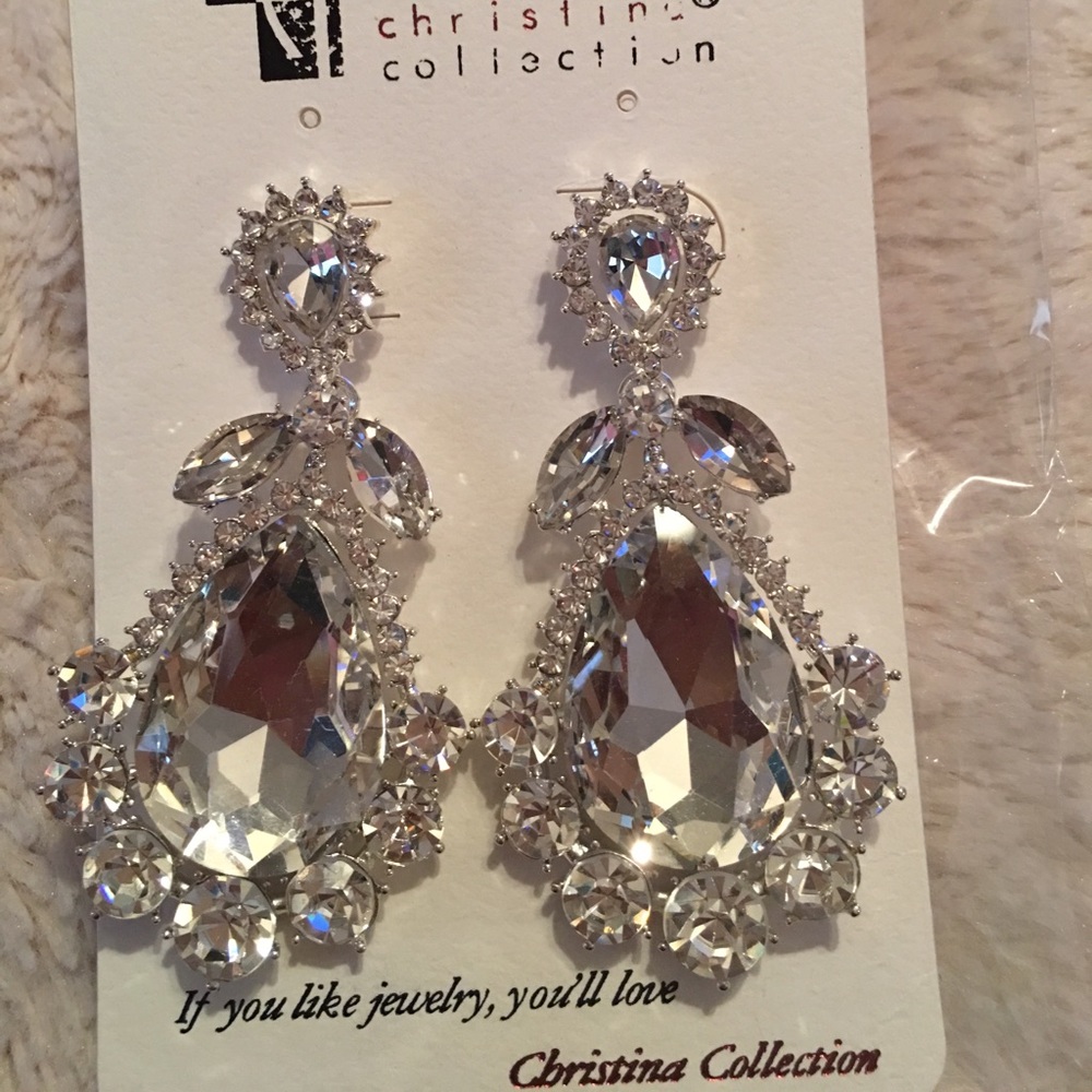 Elegant silver earrings!