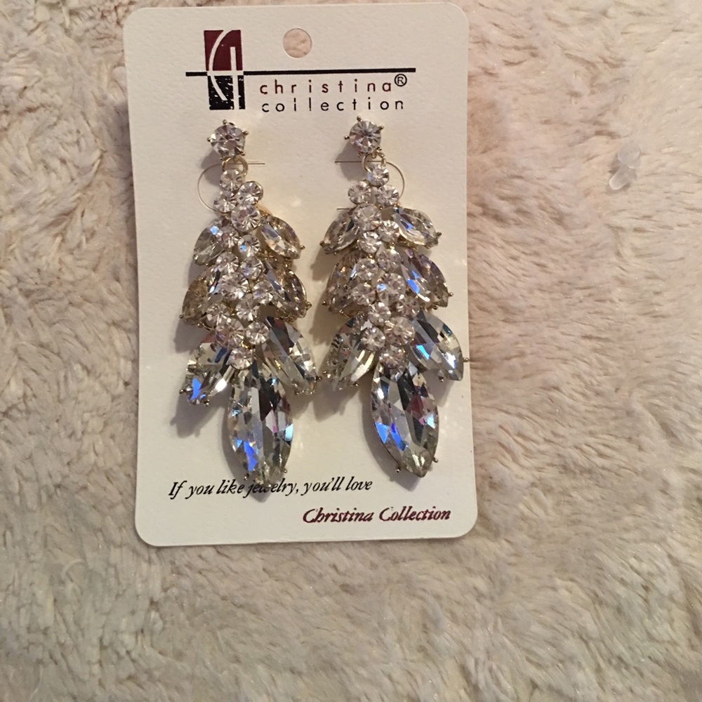 Elegant silver earrings!