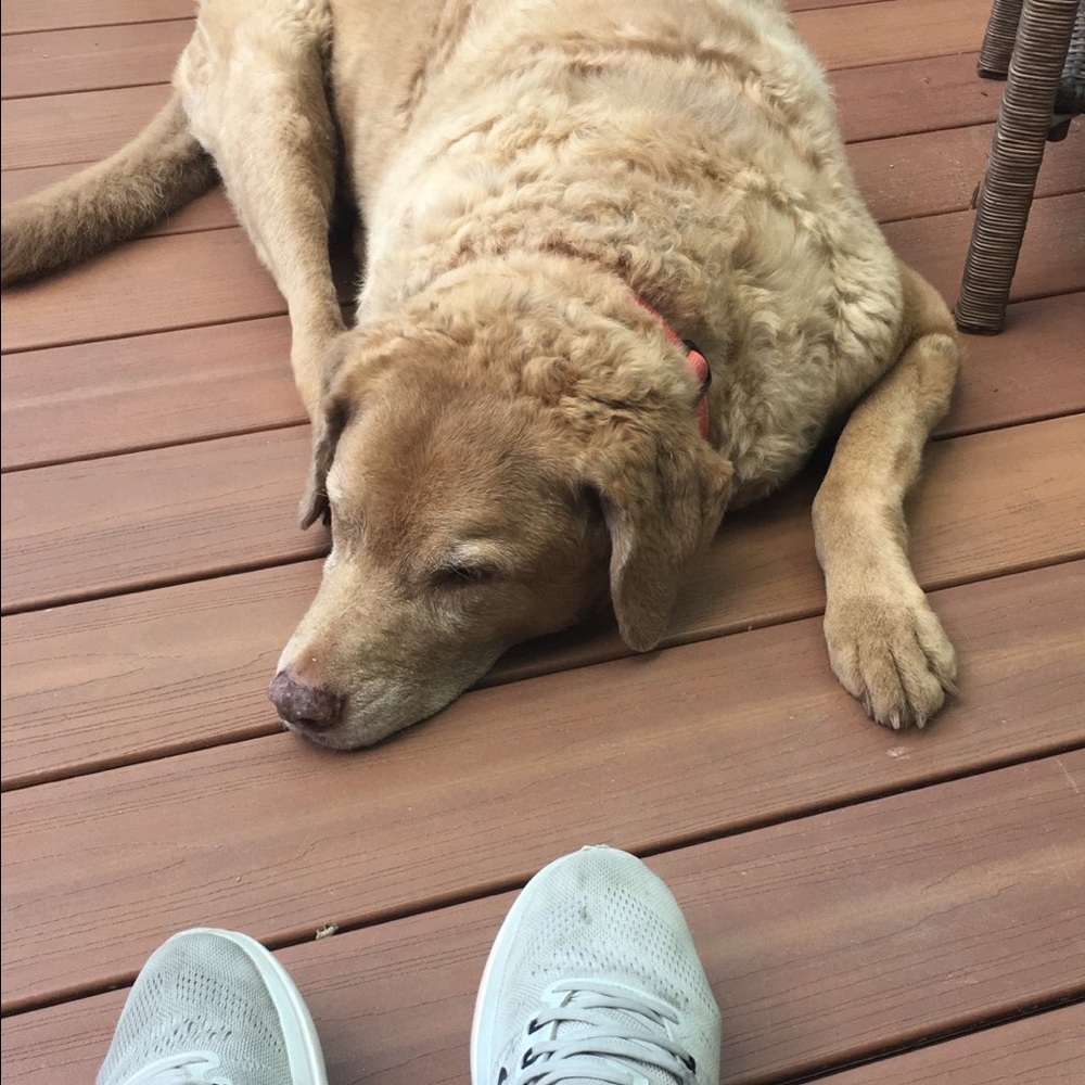 Meet your Posher, Avery