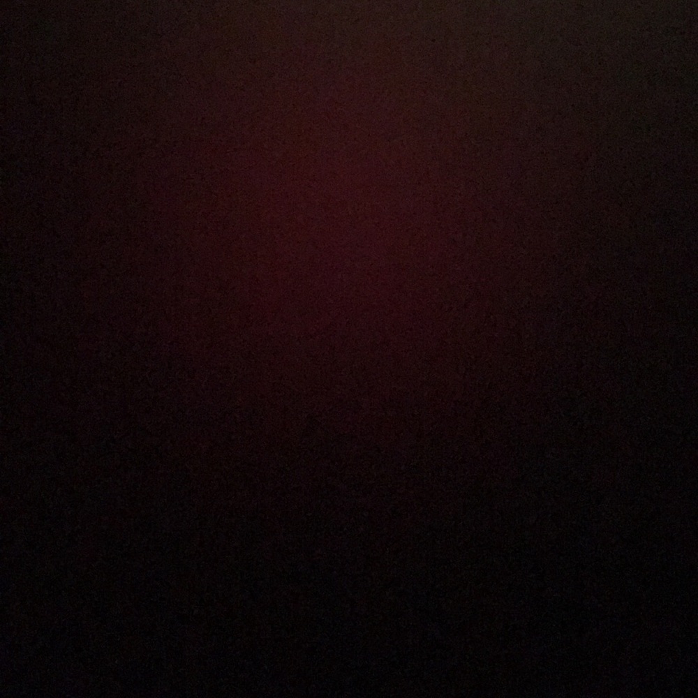 Meet your Posher, Maddie