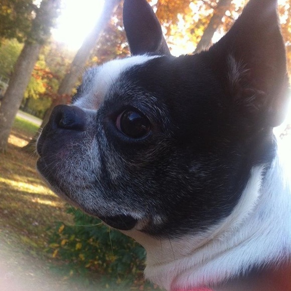 Meet your Posher, Satina - Picture 8 of 8