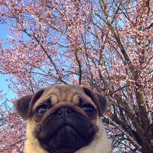 Meet your Posher, Celina