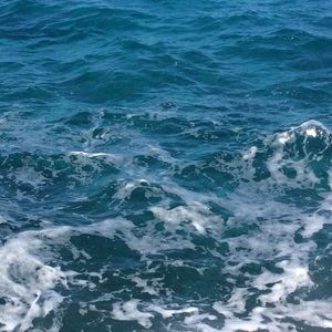 Meet your Posher, Peyton