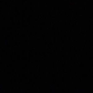 Meet your Posher, Ann