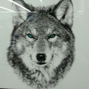 Meet your Posher, Gerardo