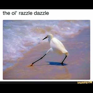 Meet your Posher, Ricky