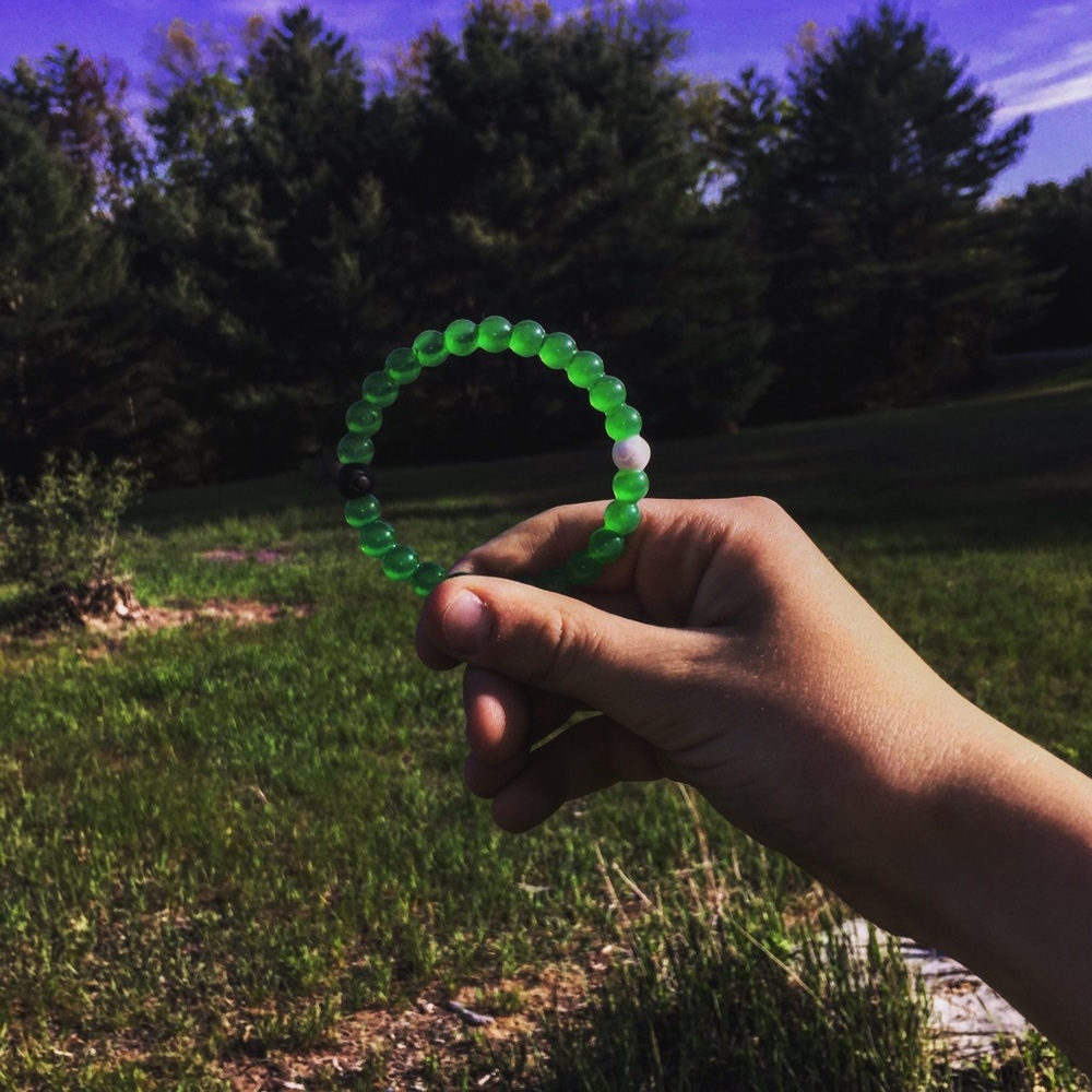 Meet your Posher, Toby