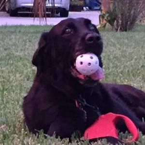 Meet your Posher, Caden