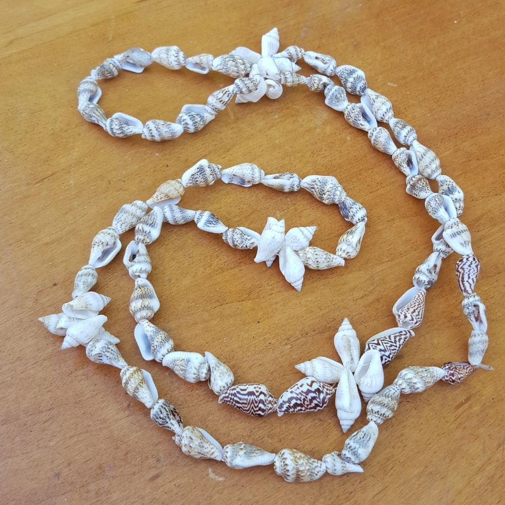 Sea 🏖 Shell 🌊 Necklace