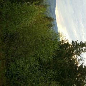 Meet your Posher, Journeystar