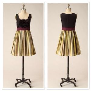 Rare Anthropologie Bold boutonniere Dress XS