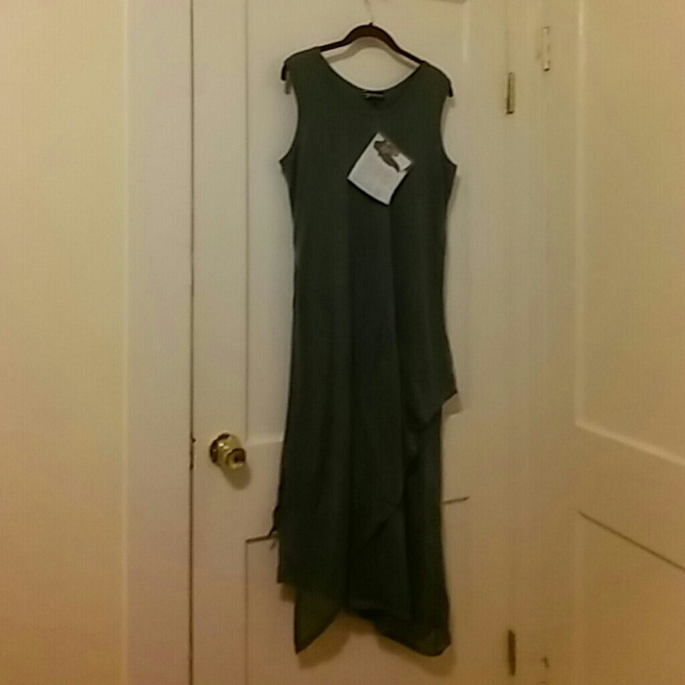 Serena Williams dress