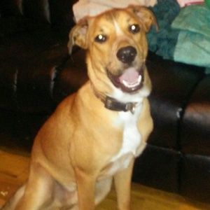 Meet your Posher, Christy