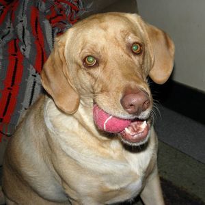 Meet your Posher, Lynn