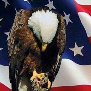 Meet your Posher, Shirley