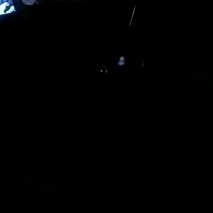 Meet your Posher, Kimlynn