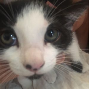 Meet your Posher, Raymond