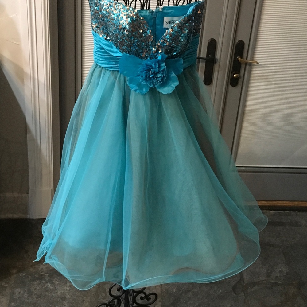 Dress - Picture 2 of 4