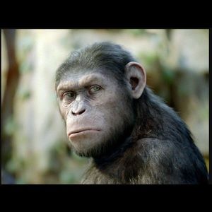 Meet your Posher, Zelalem