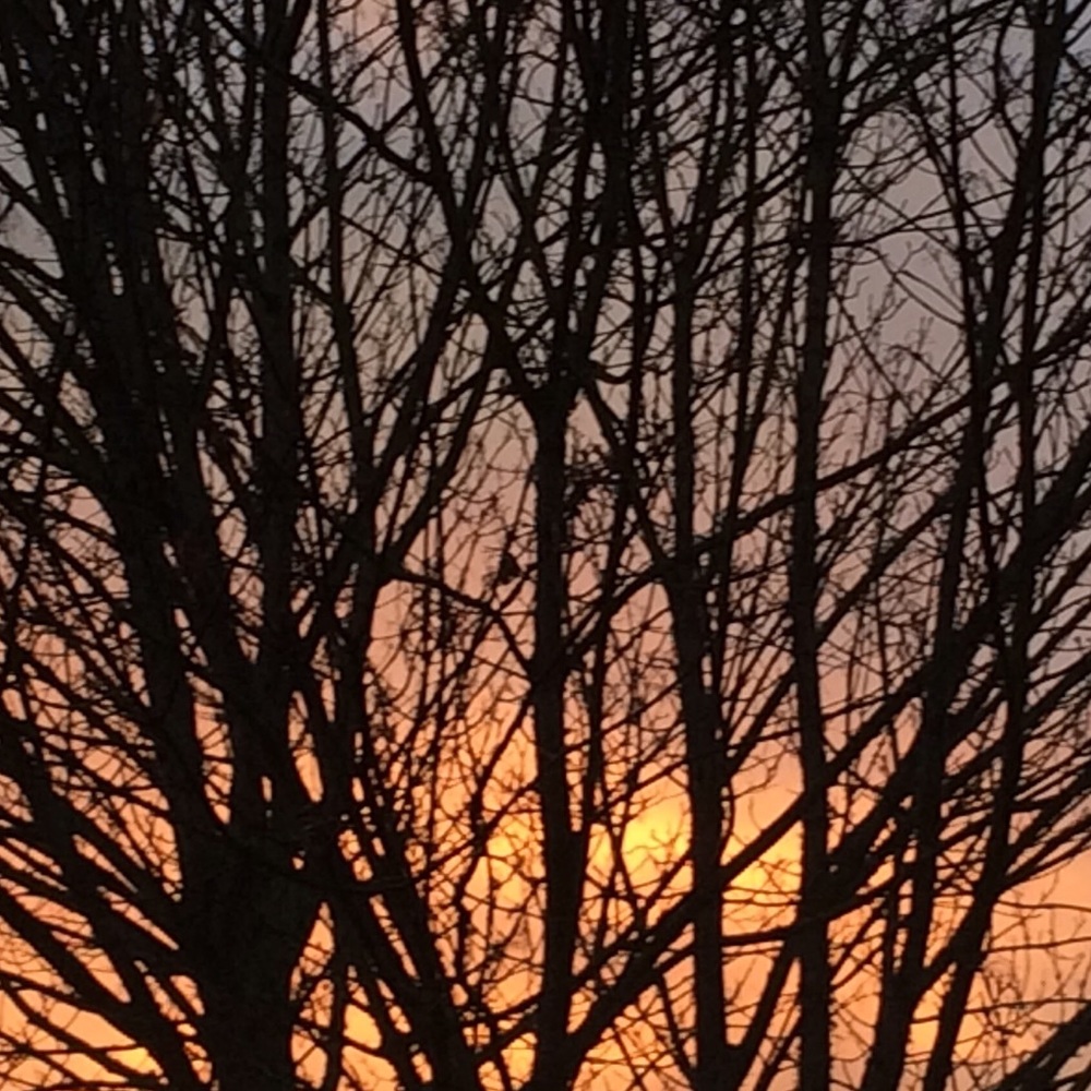 Meet your Posher, Farheen