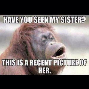 Meet your Posher, Paul