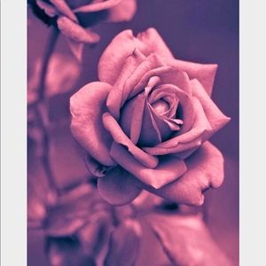 Meet your Posher, Kay